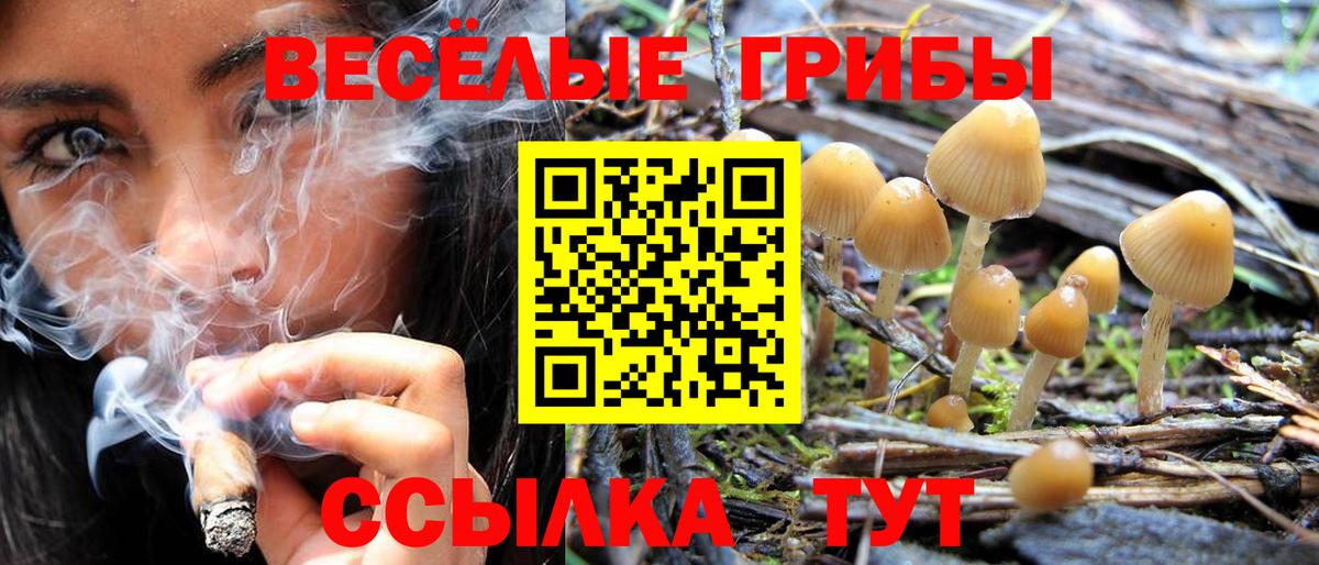 Химки  Псилоцибиновые грибы ЛСД  Вход с VPN 