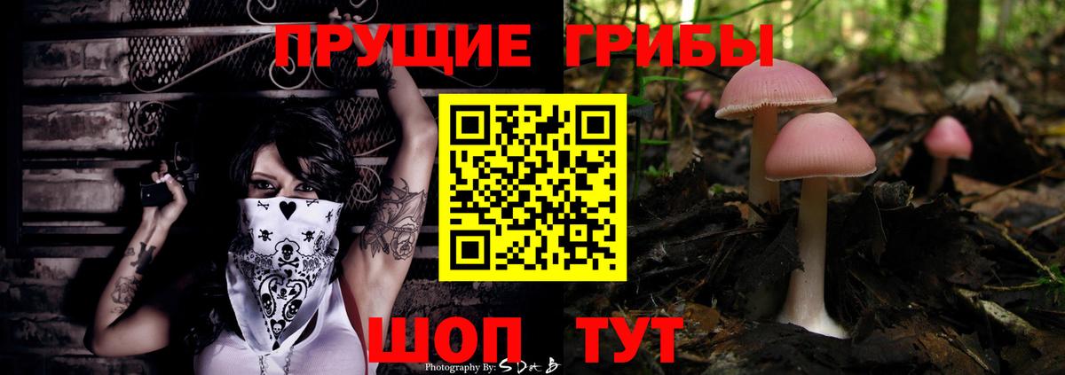 Галлюциногенные грибы мухоморы Химки