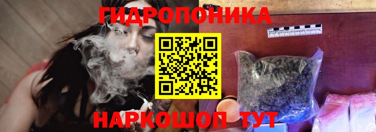 Конопля сатива Химки
